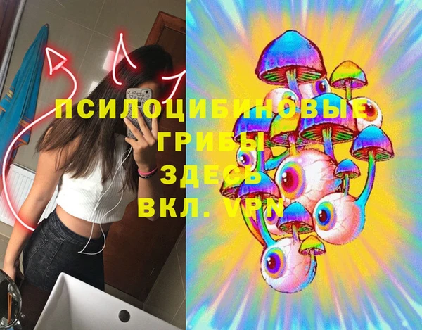 Альфа ПВП Вязники