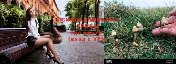 экстази Вяземский