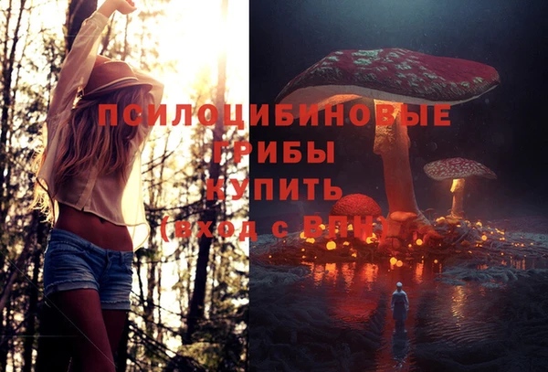 экстази Вяземский